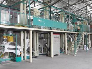 日處理12噸石磨面粉加工設(shè)備圖片,日處理12噸石磨面粉加工設(shè)備高清圖片 鄭州市鼎商機械公司,