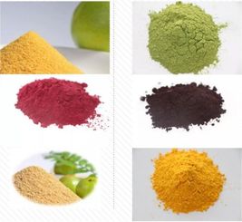 啟未來之勢 逐綠色夢想——上海夜草生物科技粉砂加工項目簽約儀式圓滿舉行